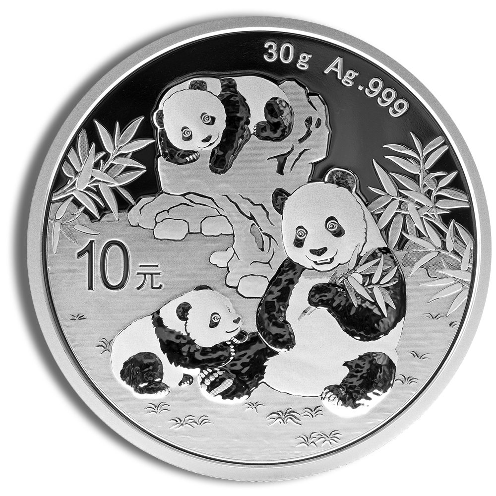 2025 Chinese Silver Panda - 30 g