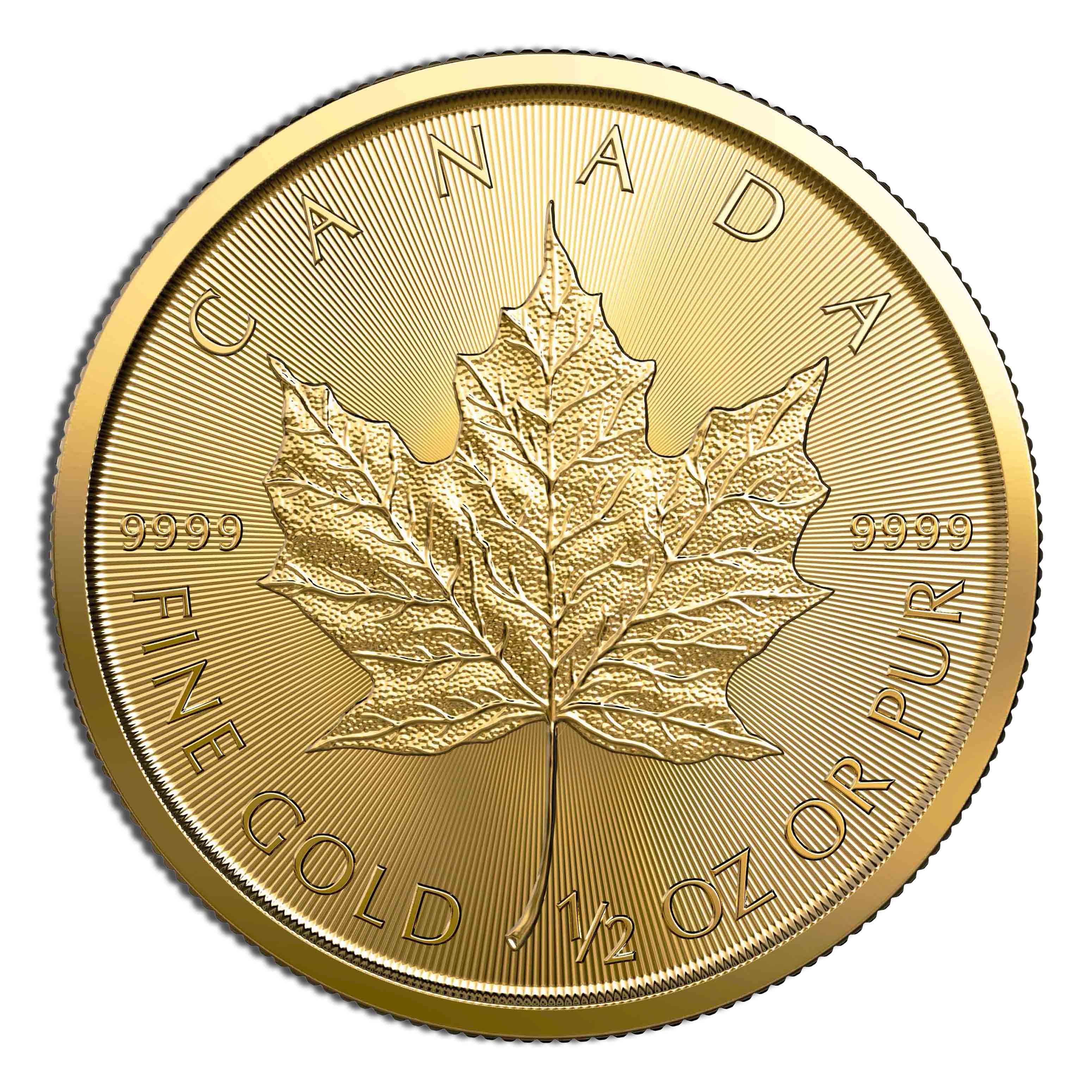 Platinum Maple Leaf - 1/2 oz (Year Varies)